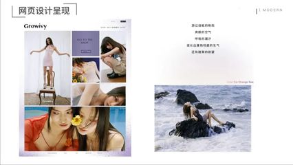 溫州大學(xué)美術(shù)與設(shè)計(jì)學(xué)院2018級(jí)視覺(jué)傳達(dá)設(shè)計(jì)專(zhuān)業(yè)《品牌設(shè)計(jì)